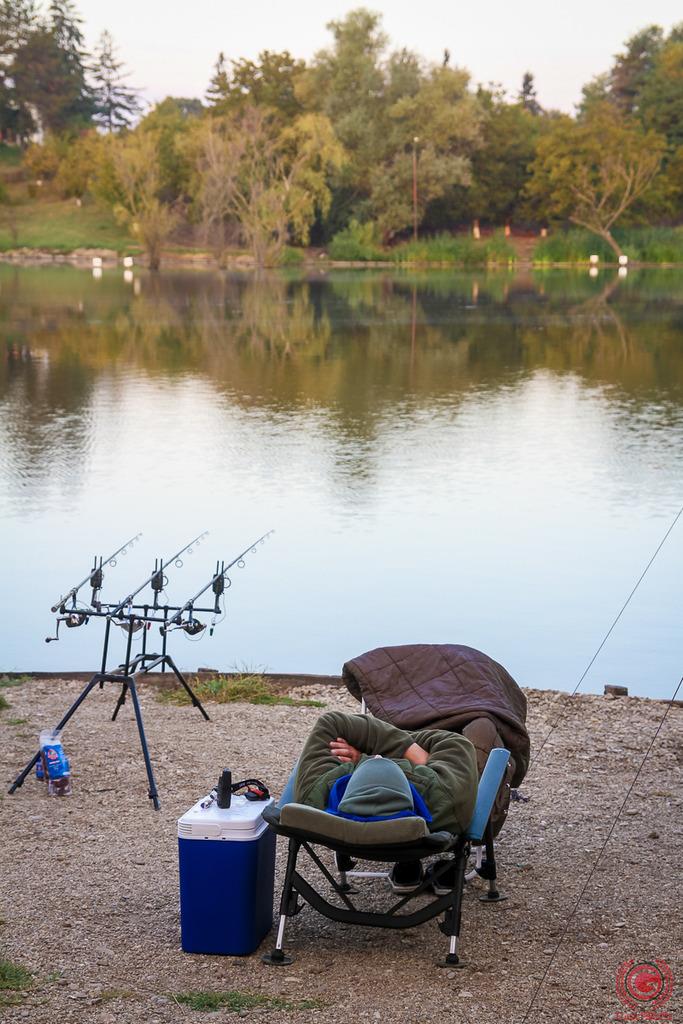 2016 in imagini  - gor1916.jpg